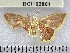  ( - YB-BCI162861)  @11 [ ] No Rights Reserved  Unspecified Unspecified