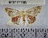  ( - YB-BCI171753)  @11 [ ] No Rights Reserved  Unspecified Unspecified