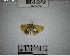  ( - YB-BCI192763)  @11 [ ] No Rights Reserved  Unspecified Unspecified