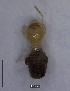  (Anoplotermes sp. 13YB - YB-BCI166679.1)  @11 [ ] No Rights Reserved  Unspecified Unspecified