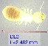  ( - YB-PAN18FG082.3)  @11 [ ] No Rights Reserved  Unspecified Unspecified