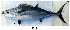  ( - C0501)  @12 [ ] Unspecified (default): All Rights Reserved  Unspecified Unspecified