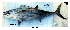  ( - C0508)  @11 [ ] Unspecified (default): All Rights Reserved  Unspecified Unspecified