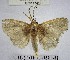  ( - YB-BCI177413)  @11 [ ] No Rights Reserved  Unspecified Unspecified