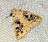  ( - YB-BCI184484)  @11 [ ] No Rights Reserved  Unspecified Unspecified