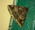  ( - YB-BCI184504)  @11 [ ] No Rights Reserved  Unspecified Unspecified