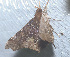  ( - YB-BCI184699)  @11 [ ] No Rights Reserved  Unspecified Unspecified