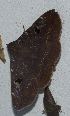 ( - YB-BCI184760)  @11 [ ] No Rights Reserved  Unspecified Unspecified