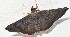  ( - YB-BCI187484)  @11 [ ] No Rights Reserved  Unspecified Unspecified