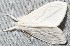  ( - YB-BCI187693)  @11 [ ] No Rights Reserved  Unspecified Unspecified