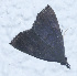  ( - YB-BCI188760)  @11 [ ] No Rights Reserved  Unspecified Unspecified