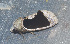 ( - YB-BCI191787)  @11 [ ] No Rights Reserved  Unspecified Unspecified