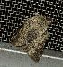 ( - YB-BCI191857)  @11 [ ] No Rights Reserved  Unspecified Unspecified