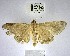  ( - YB-BCI168644)  @11 [ ] No Rights Reserved  Unspecified Unspecified