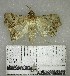  ( - YB-BCI174050)  @11 [ ] No Rights Reserved  Unspecified Unspecified