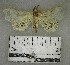  ( - YB-BCI179711)  @11 [ ] No Rights Reserved  Unspecified Unspecified
