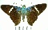  ( - YB-BCI167233)  @13 [ ] No Rights Reserved  Unspecified Unspecified