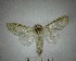  ( - YB-BCI177159)  @11 [ ] No Rights Reserved  Unspecified Unspecified