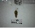  ( - YB-BCI190856)  @11 [ ] No Rights Reserved  Unspecified Unspecified