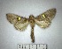  ( - YB-BCI176977)  @11 [ ] No Rights Reserved  Unspecified Unspecified