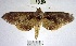  ( - YB-BCI168627)  @11 [ ] No Rights Reserved  Unspecified Unspecified