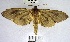  ( - YB-BCI168627)  @11 [ ] No Rights Reserved  Unspecified Unspecified