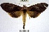  ( - YB-BCI168637)  @11 [ ] No Rights Reserved  Unspecified Unspecified