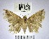  ( - YB-BCI168639)  @11 [ ] No Rights Reserved  Unspecified Unspecified