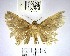  ( - YB-BCI168639)  @11 [ ] No Rights Reserved  Unspecified Unspecified