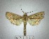  ( - YB-BCI177224)  @11 [ ] No Rights Reserved  Unspecified Unspecified