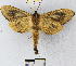  ( - YB-BCI14753)  @13 [ ] No Rights Reserved  Unspecified Unspecified