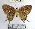  ( - YB-BCI77139.2)  @11 [ ] No Rights Reserved  Unspecified Unspecified