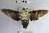  ( - YB-BCI26088)  @11 [ ] No Rights Reserved  Unspecified Unspecified
