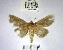  ( - YB-BCI168994)  @11 [ ] No Rights Reserved  Unspecified Unspecified