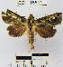  ( - YB-BCI16801)  @13 [ ] No Rights Reserved  Unspecified Unspecified