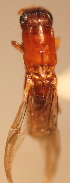  ( - YB-BCI4126)  @12 [ ] No Rights Reserved  Unspecified Unspecified