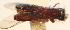  ( - YB-BCI20352)  @11 [ ] No Rights Reserved  Unspecified Unspecified