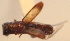  ( - YB-BCI18619)  @11 [ ] No Rights Reserved  Unspecified Unspecified