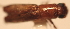  ( - YB-BCI21648)  @12 [ ] No Rights Reserved  Unspecified Unspecified