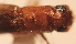  ( - YB-BCI21648)  @12 [ ] No Rights Reserved  Unspecified Unspecified