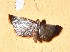  ( - YB-BCI188693)  @11 [ ] No Rights Reserved  Unspecified Unspecified