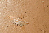  ( - YB-BCI188939)  @11 [ ] No Rights Reserved  Unspecified Unspecified