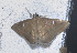  ( - YB-BCI189419)  @11 [ ] No Rights Reserved  Unspecified Unspecified