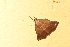  ( - YB-BCI191009)  @11 [ ] No Rights Reserved  Unspecified Unspecified