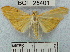  ( - YB-BCI25401)  @15 [ ] No Rights Reserved  Unspecified Unspecified