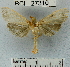  ( - YB-BCI27310)  @13 [ ] No Rights Reserved  Unspecified Unspecified