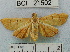  ( - YB-BCI21502)  @14 [ ] No Rights Reserved  Unspecified Unspecified
