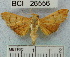  ( - YB-BCI26556)  @13 [ ] No Rights Reserved  Unspecified Unspecified