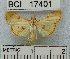  ( - YB-BCI17401)  @13 [ ] No Rights Reserved  Unspecified Unspecified