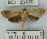  ( - YB-BCI23170)  @14 [ ] No Rights Reserved  Unspecified Unspecified